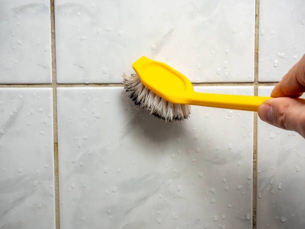 Best Fast Mold Removal  in Martins Ferry, OH