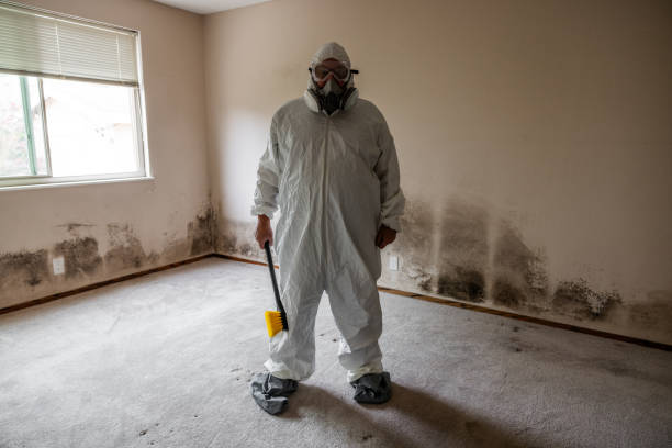 Home Mold Removal in Martins Ferry, OH